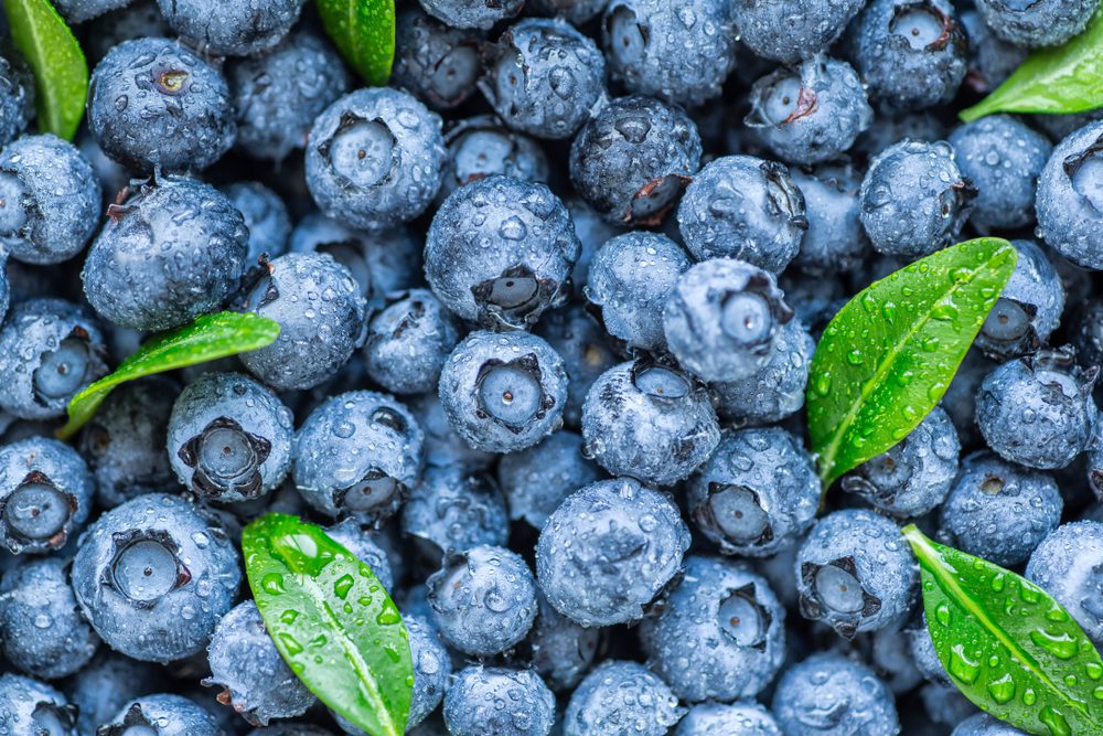 blueberries tax